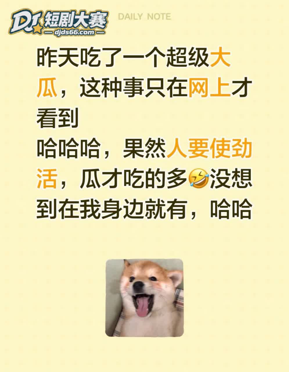 新余孔目江 桨板情侣相关图片9